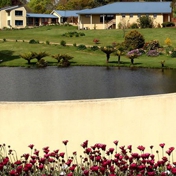 Gallery Image Number 4