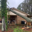 Top Notch Tree Service - Tree Service