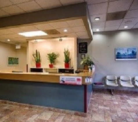 North Avenue Animal Hospital - Chicago, IL