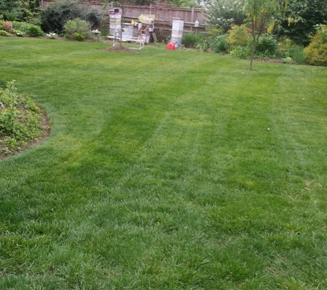 The final cutt Lawncare & property maintenance - Silver Spring, MD