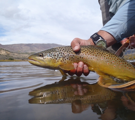 Blue Quill Angler - Evergreen, CO