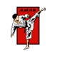 American Martial Arts Systems