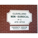 Cleveland Non Surgical P C - Chiropractors & Chiropractic Services