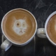 Miss Kitty's Coffee Cafe