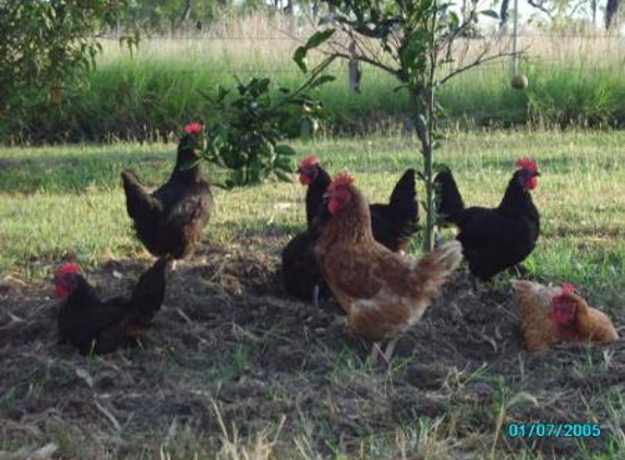 Coleman Stock Feeds Pty Ltd - Towers Hill, QLD