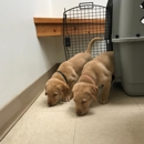 Fairview Animal Hospital - Veterinarians