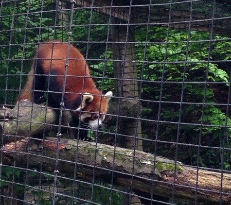 Ross Park Zoo - Binghamton, NY