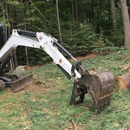 Branch Manager Tree Service - Arborists