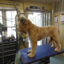 The Groomery - Pet Grooming