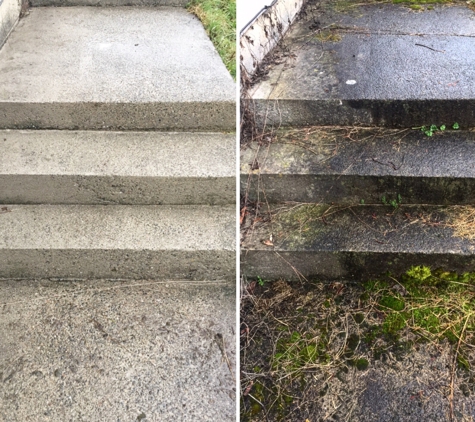 PNW Pressure Washing - Seattle, WA