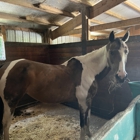 Stonebridge Stables