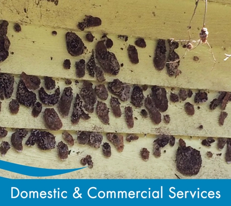 Evicta Pest Management. We cater for both Commercial and Domestic Services