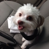 Irish Trails Farm & Pet Supply gallery