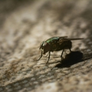 Extermco Termite & Pest Control - Pest Control Equipment & Supplies