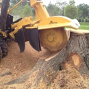 DM Tree Service - Tree Service