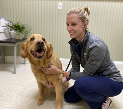 VCA Shoreline Veterinary Referral and Emergency Center - Shelton, CT