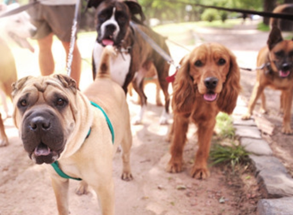 A2K9 Dog Training - Ann Arbor, MI