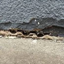 Truly Nolen Pest and Termite Control Grove City - Pest Control Services