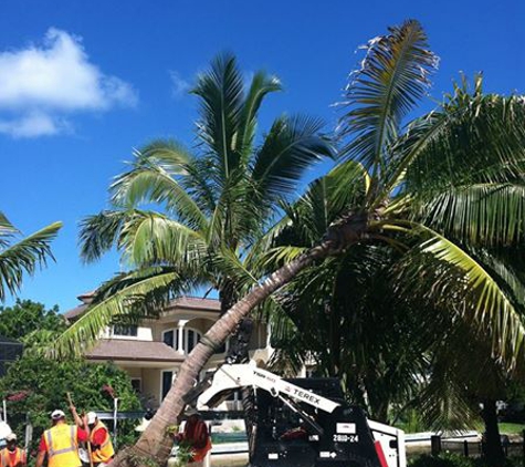 Bobcat Tractor Tree & Landscape Co - Naples, FL