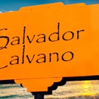 The Calvano