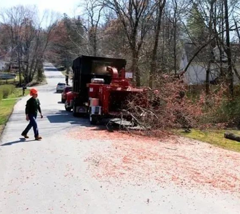 Bill Henry Tree Service Inc - Brewster, NY