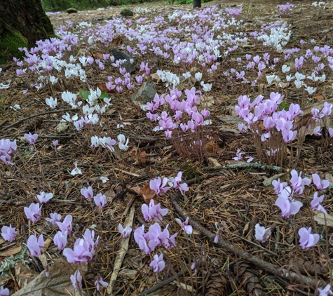 Jenkins Estate - Beaverton, OR