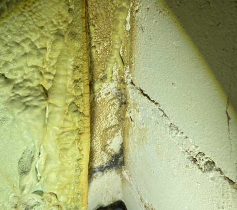 FDP Mold Remediation of Arlington - Arlington, VA