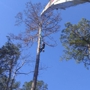 Big Bend Tree Service