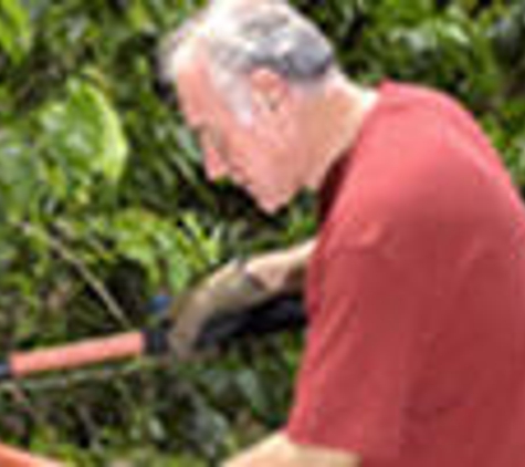 Corner Landscaping & Tree Service - Philadelphia, PA