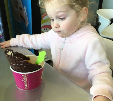 Menchie's Frozen Yogurt - Fairlawn, OH