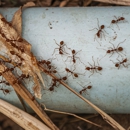 Bug Out Pest Control - Pest Control Equipment & Supplies