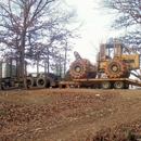 Helton Logging - Logging Companies