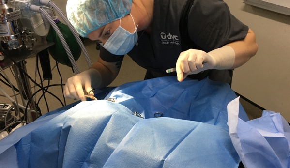 Drouin Veterinary Clinic - Drouin, VIC