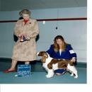 Kalero Dog Obedience School - Pet Services
