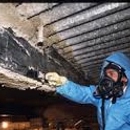 Anthony's Asbestos & Mold Removal - Asbestos Detection & Removal Services