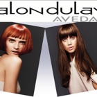 Salon Dulay Aveda