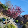 Lara's Landscape & Maintenance gallery