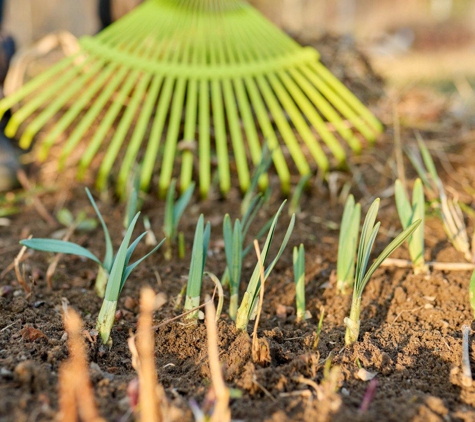 T & T Lawn Services - Idaho Falls, ID