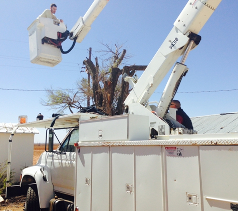 Tomcat's Tree Trimming - Wolfforth, TX