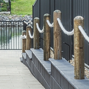 Gallery Image Number 5