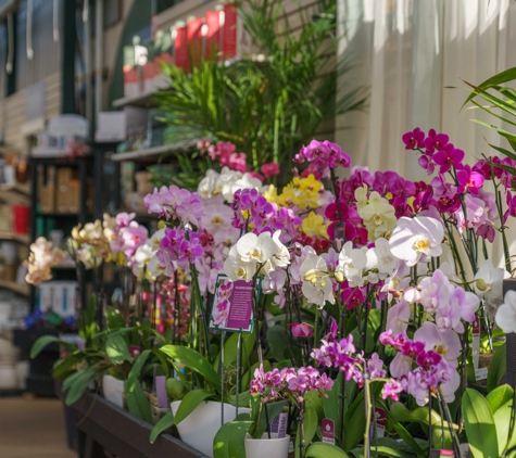 Mahoney's Garden Center - Concord - Concord, MA