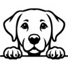 LabraDoor Overhead Services gallery