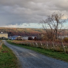 Divided Sky Vineyard