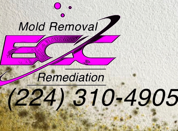 ECC Mold Removal & Remediation of Hanover Park / Bloomingdale - Hanover Park, IL