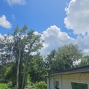 Jax Pro Tree Services