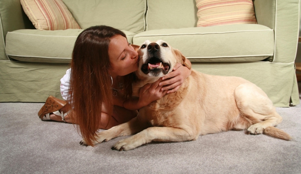 Clean Master Carpet Cleaning - Newark, TX