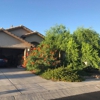 La Cholla Landscaping gallery