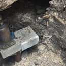 Bats Foundation Repair