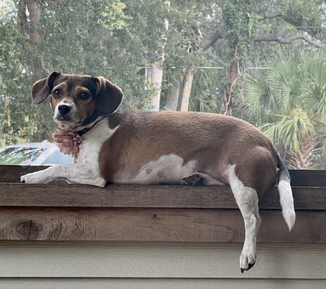 Mary Jane Henderson - New Smyrna Beach, FL