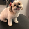 Fur de Leash Mobile Pet Spa gallery